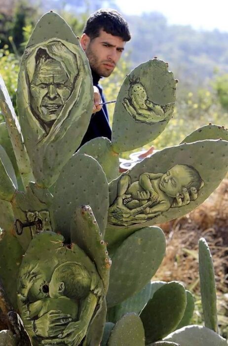 Palestinian artists have used cacti as a unique and eye-catching canvas for their artwork. – The Daily Worlds