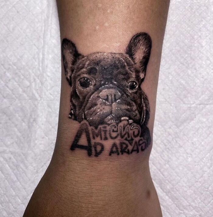 Explore Over 90 Animal Tattoo Designs Worth Considering – Amazing Xanh