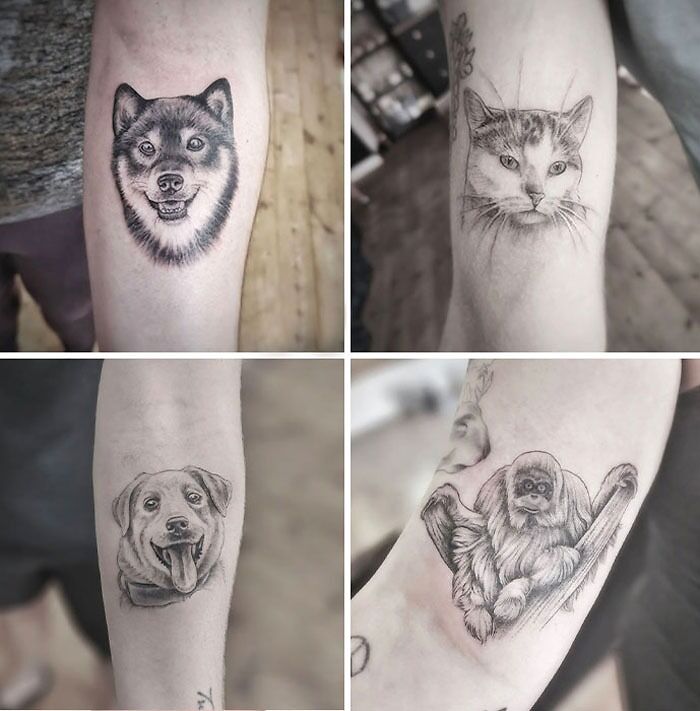 Explore Over 90 Animal Tattoo Designs Worth Considering – Amazing Xanh