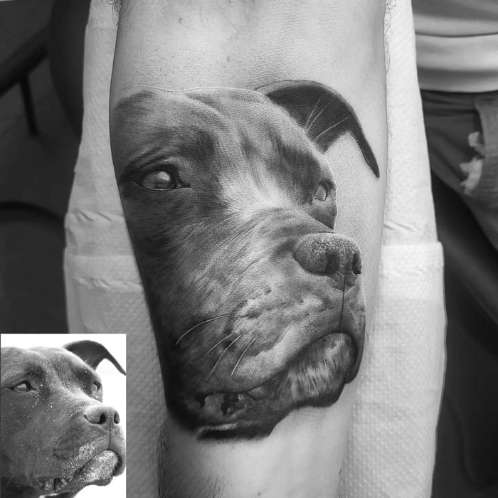 Explore Over 90 Animal Tattoo Designs Worth Considering – Amazing Xanh