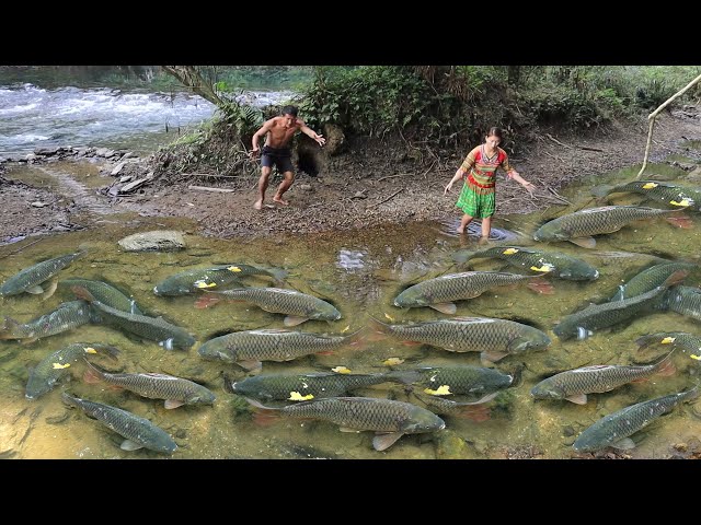 Skills Survival: Solo Bushcraft OFF GIRD LIVING, Catch A Lot Fish in Puddles  - YouTube