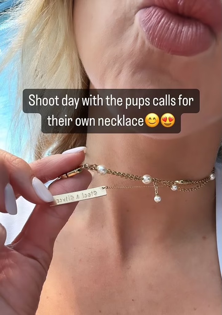 Brittany Mahomes took to Instagram story Thursday to show off her
new necklace, which pays tribute to her beloved dogs, Silver and Steel.