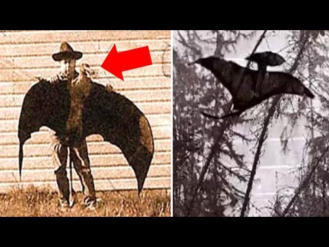 8 Real Life Sightings & Encounters With Prehistoric Creatures | Compilation  - YouTube