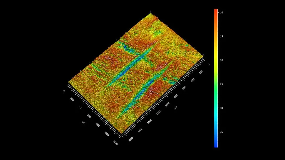 A 3D model of the incisions on the shinbone helped scientists identify them as cut marks made with stone tools.